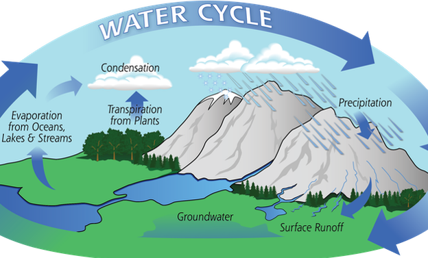 Algunos puntos clave del ciclo del agua. 