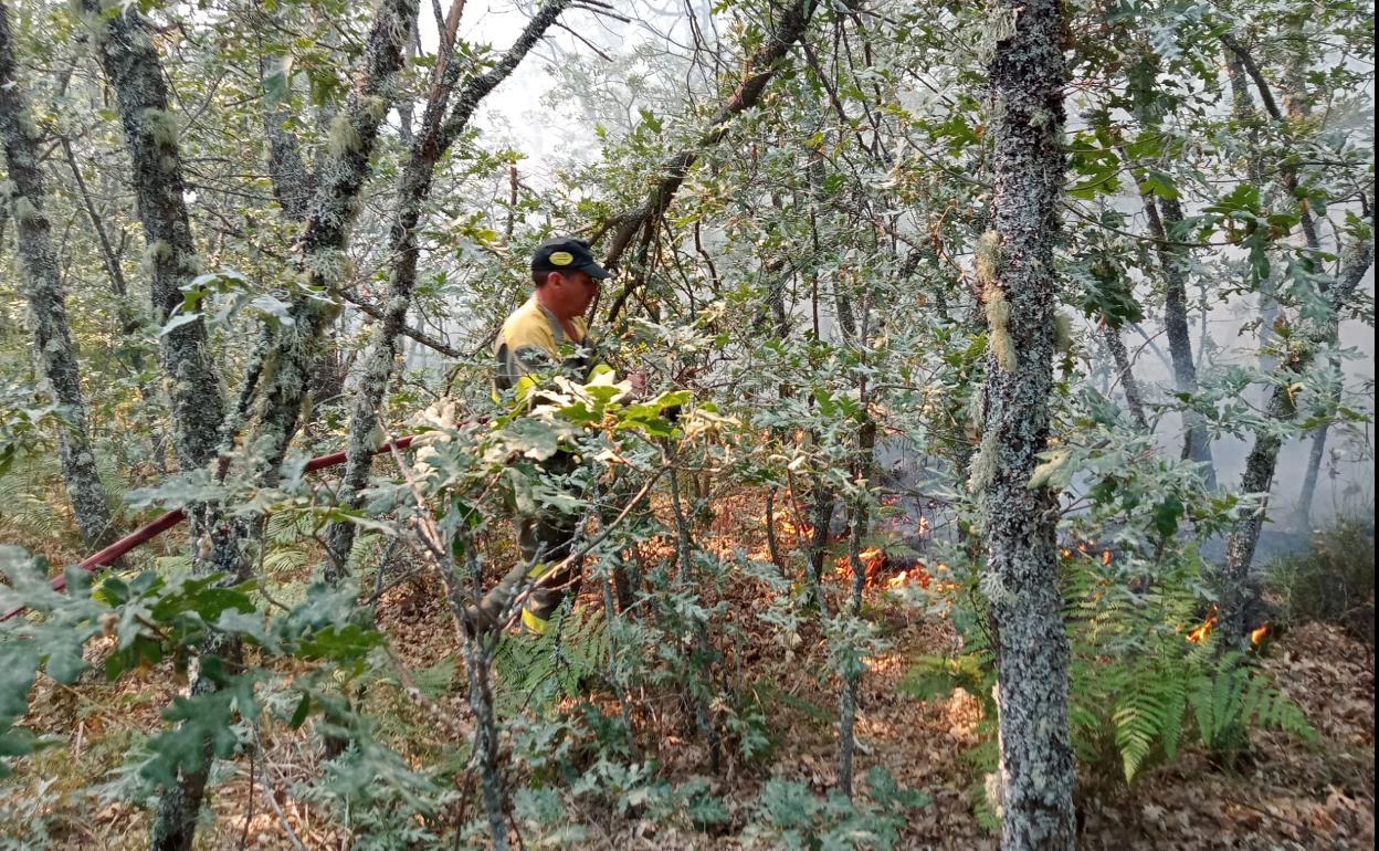 Labores de control del fuego en Villar de Omaña.