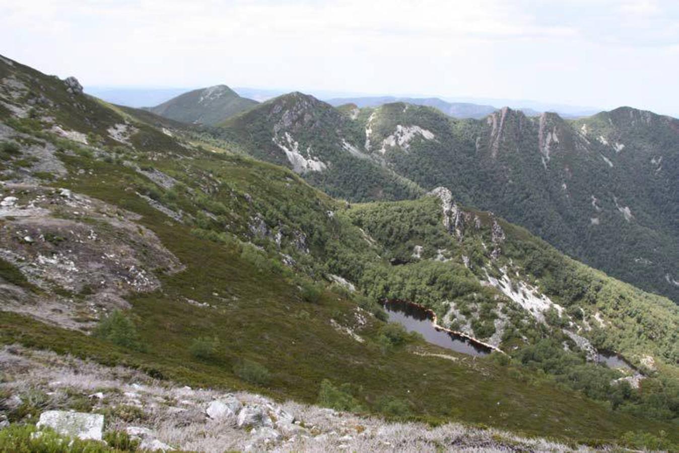 Laguna de Muniellos: Situadas en el extremo occidental de la Cordillera Cantábrica y dentro del bonito entorno del Parque Natural de Fuentes del Narcea, Degaña e Ibias. Las lagunas de Muniellos están formadas por las lagunas de La Peña, la Grande, la Honda, la Isla, Peña Velosa y Aveizuna.