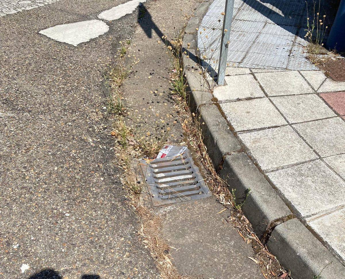 El PP denuncia el abandono y suciedad de Pradillo, Venta de la María y El Viento.