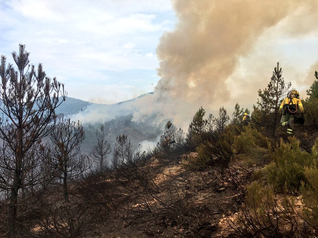 Medios aéreos y terrestres trabajan en las labores de extinción del incendio, cuyo origen se investiga, declarado en la madrugada de este lunes en el denominado Valle Estremero, e ntre los municipios leoneses de Riaño y Boca de Huérgano.