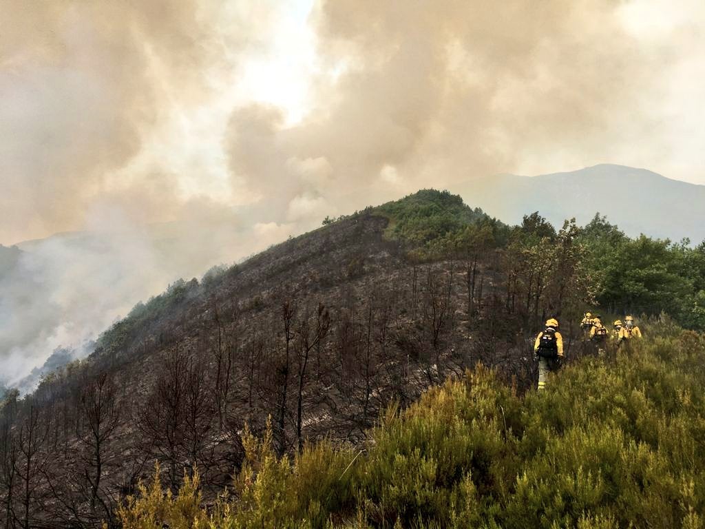 Medios aéreos y terrestres trabajan en las labores de extinción del incendio, cuyo origen se investiga, declarado en la madrugada de este lunes en el denominado Valle Estremero, e ntre los municipios leoneses de Riaño y Boca de Huérgano.