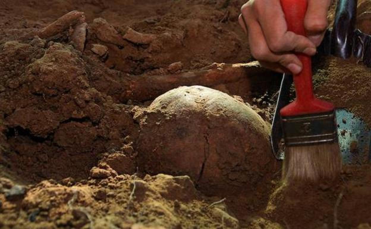 Imagen de una excavación de la fosa común.