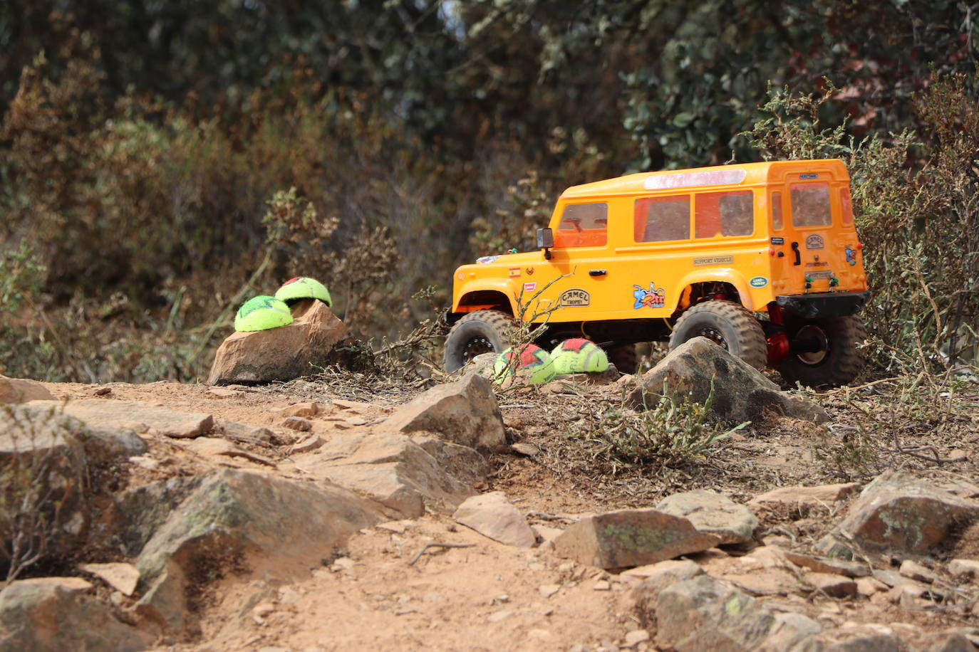 Fotos: La pasión por los coches de radiocontrol se vive en Castrotierra de la Valduerna