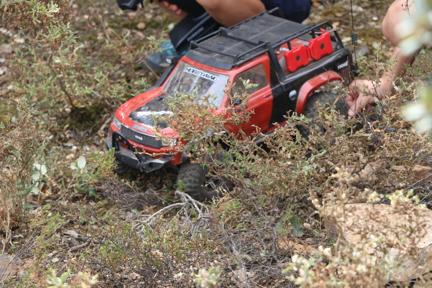 Fotos: La pasión por los coches de radiocontrol se vive en Castrotierra de la Valduerna