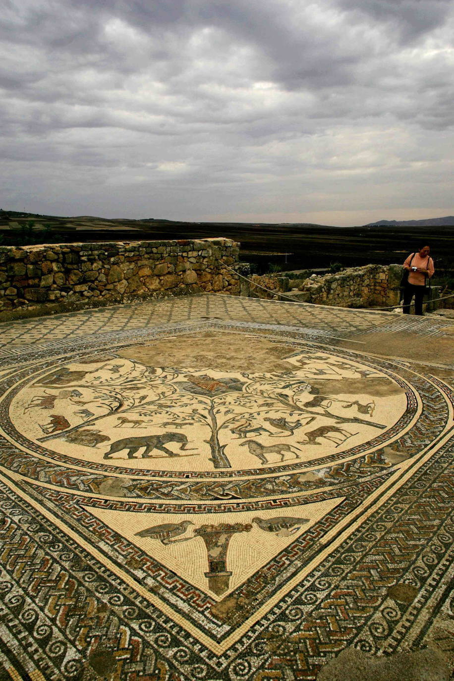 Volubilis (Marruecos) | Se trata de las ruinas arqueológicas mejor conservadas de Marruecos, en las que se pueden apreciar los espectaculares mosaicos que representan dioses romanos, animales y algunos patrones especialmente complicados de interpretar. Esta ornamentación se aprecio en distintos puntos como la Casa de Orfeo o la del Acróbata, y también en la Casa del Perro, que se empleaba como burdel para los guerreros que pasaban por la ciudad.