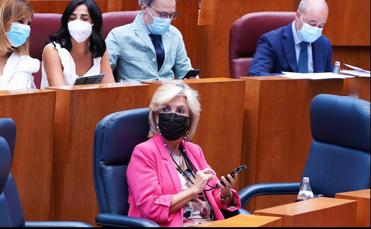 Verónica Casado, durante el pleno de este martes. 