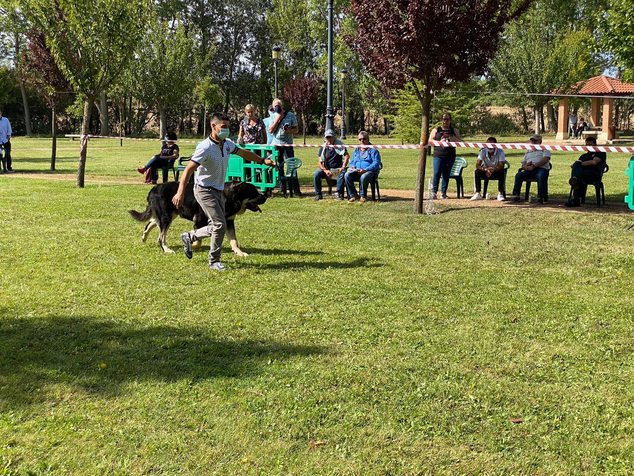 La Asociación española del perro mastín español ha organizado en la localidad de Gordoncillo un concurso para elegir a los mejores de la raza en más de 25 categorías.