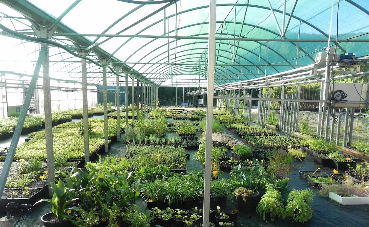 Imagen de las instalaciones del Centro Ciuden Vivero.