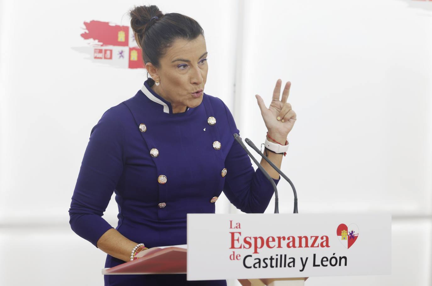 La secretaria de Organización del PSCyL, Ana Sánchez, analiza la actualidad política de Castilla y León.