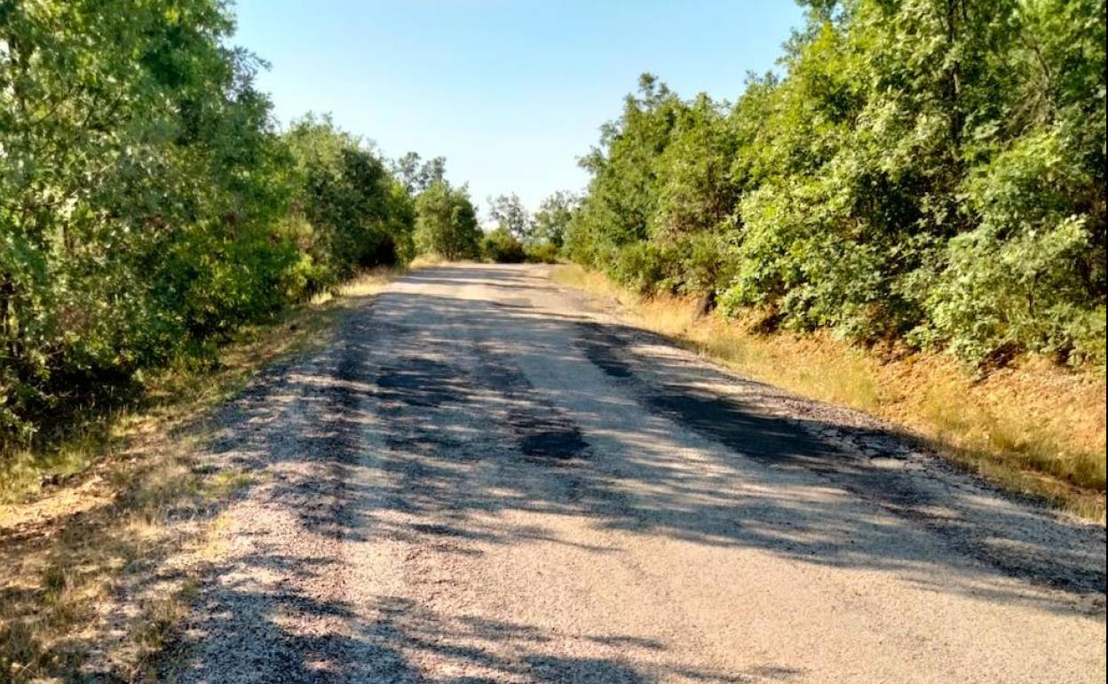 Carretera entre Almanza y Corcos.