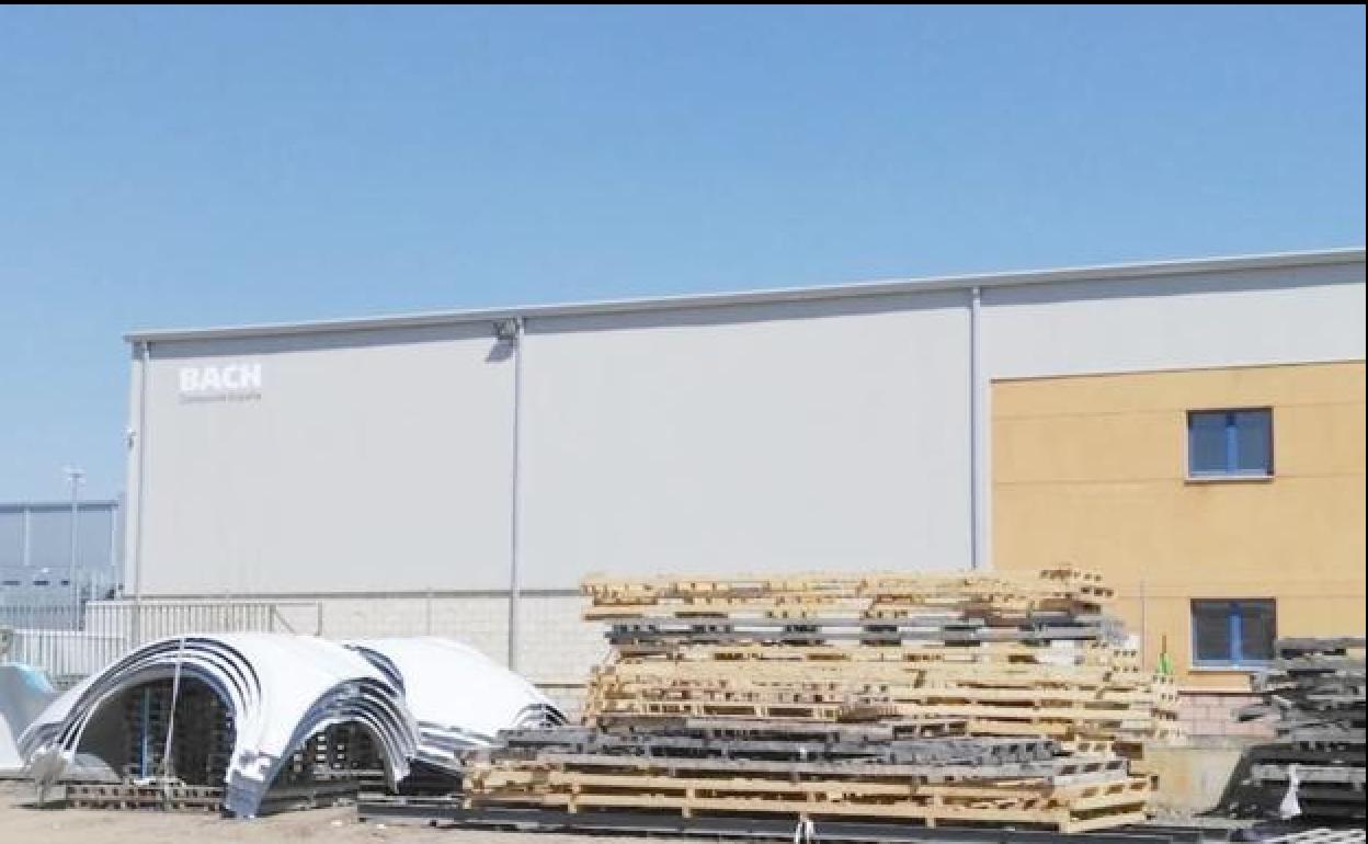 Planta de Jupiter Bach en el Páramo.