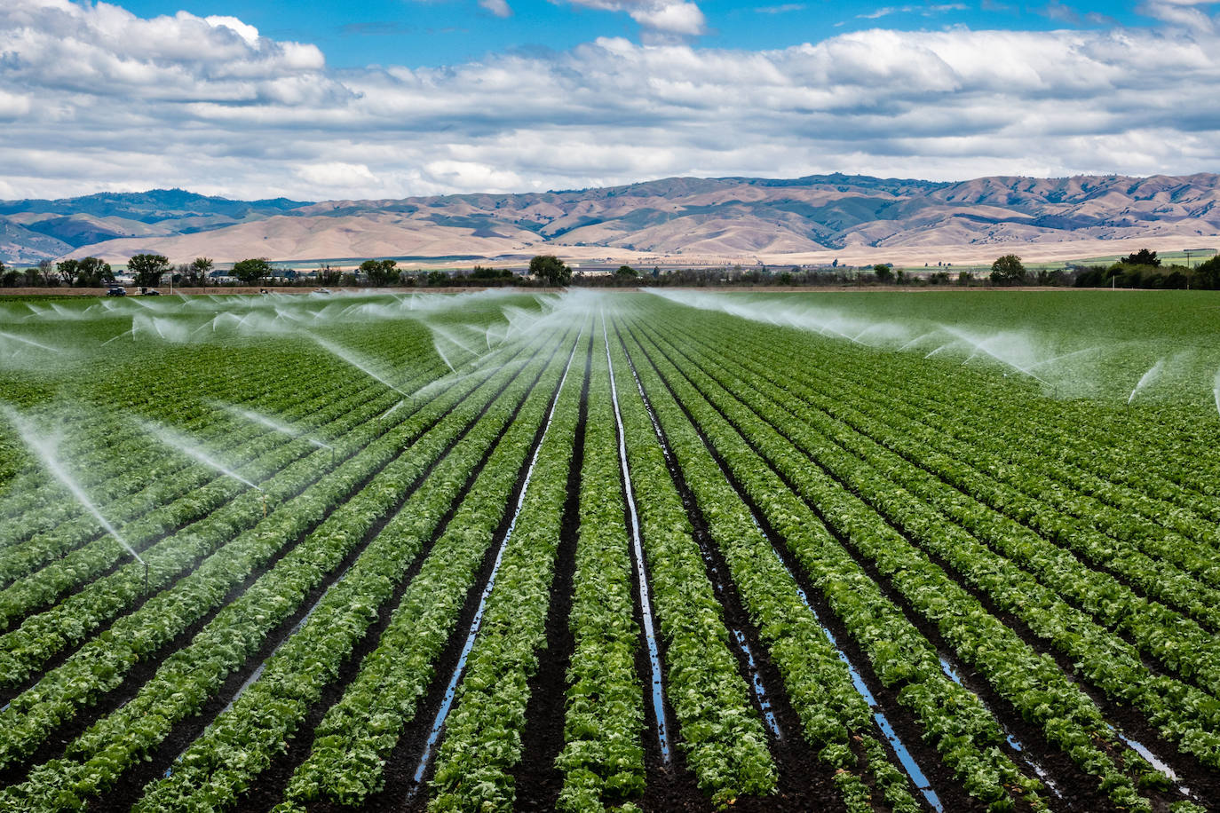 Valle del río Salinas (California)