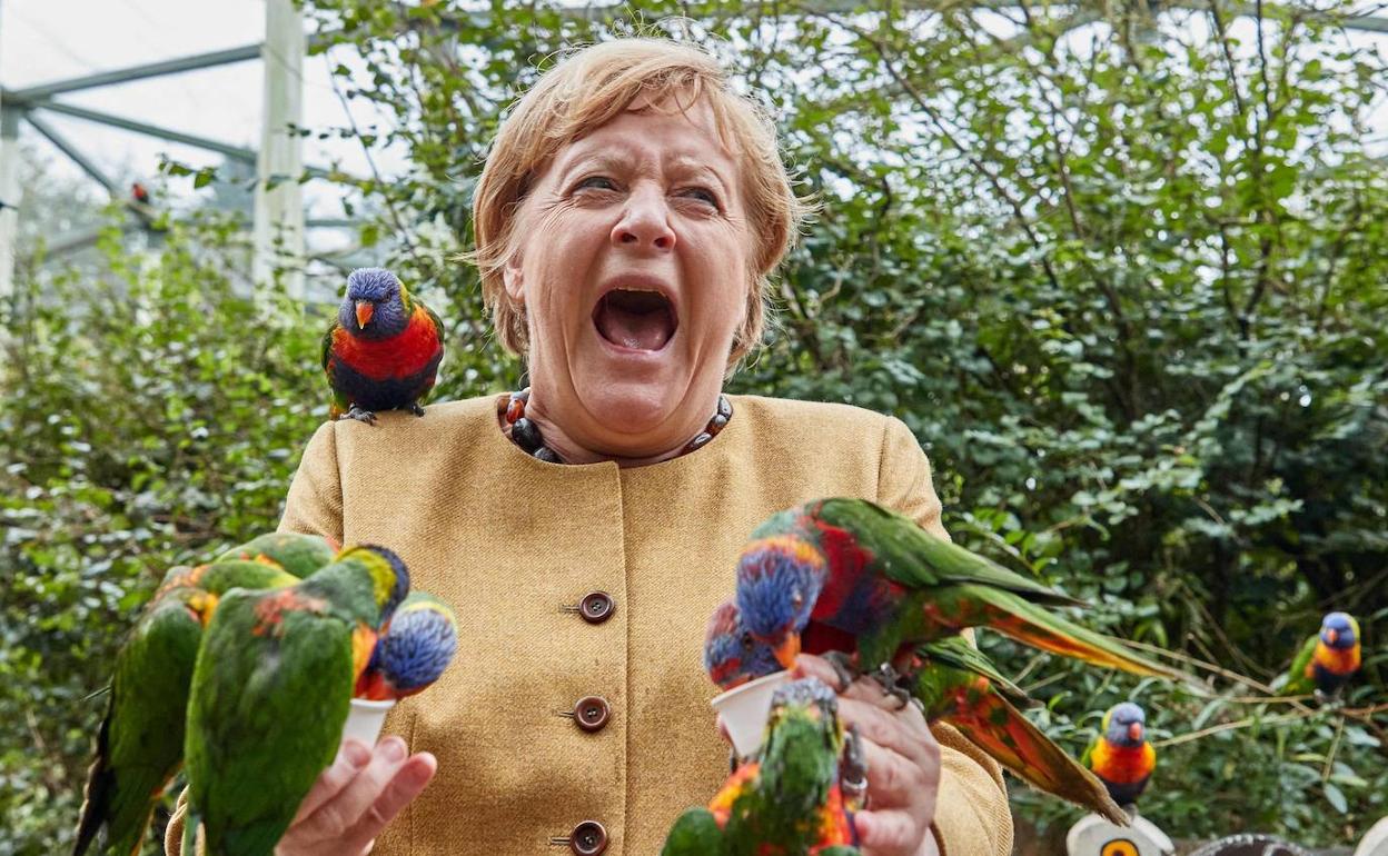 Angela Merkel, actual canciller alemana 