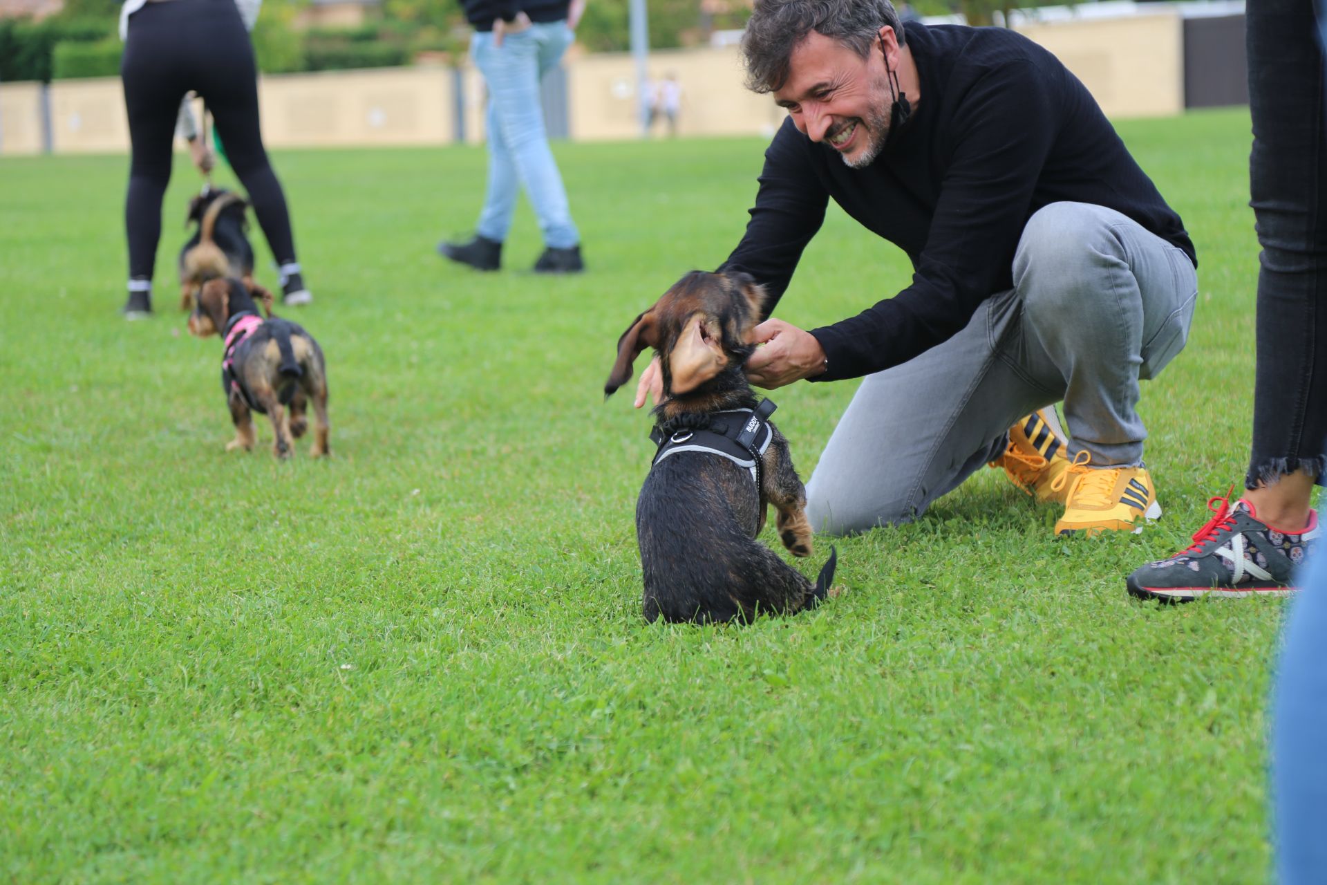 Este domingo alrededor de 20 dueños de perros de raza teckel, conocidos como perros salchicha, se reunieron para disfrutar de una tarde de fin de semana compartiendo la felicidad y simpatía de estos canes.