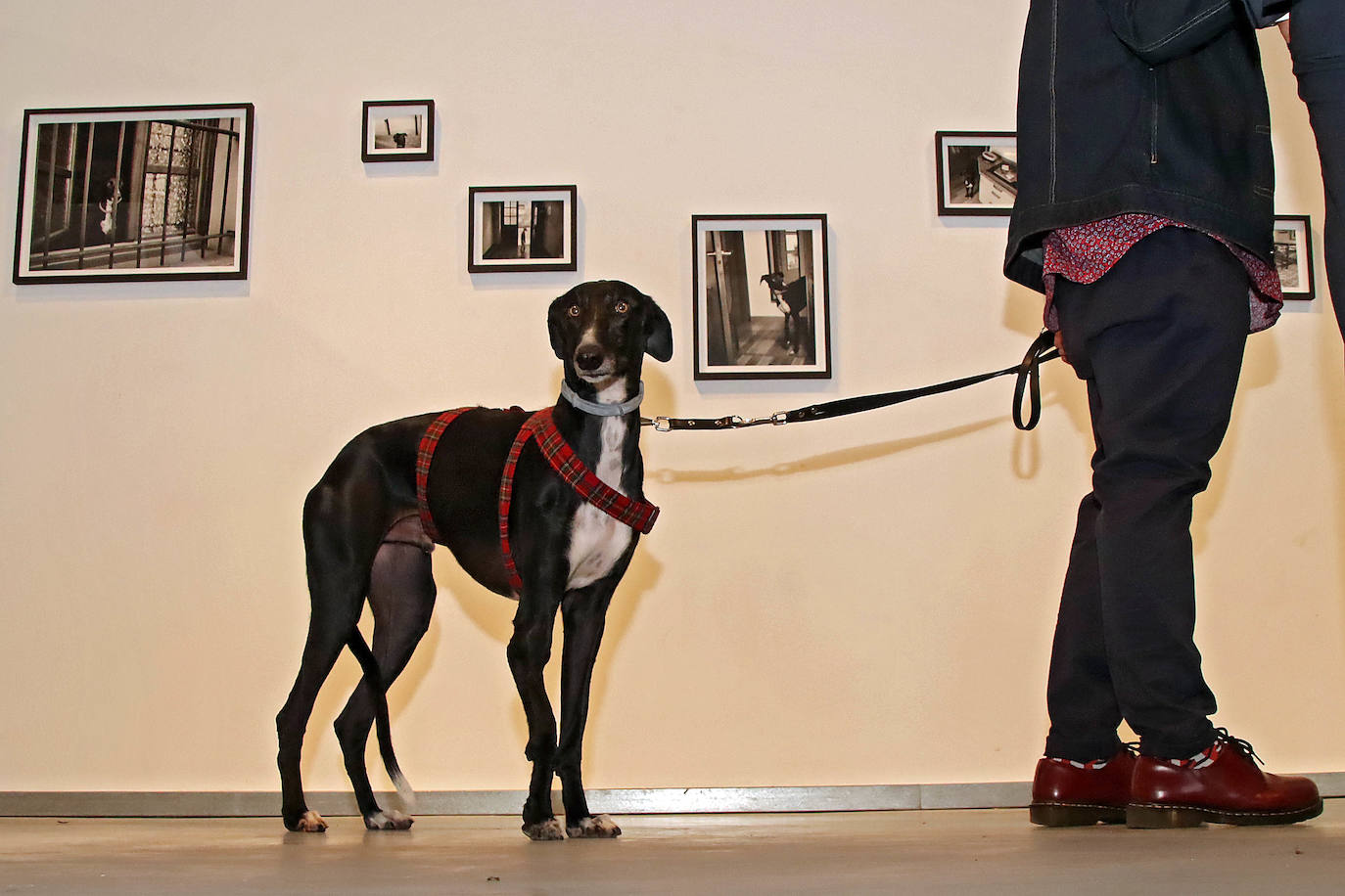 El alcalde de León, José Antonio Diez, preside el acto de inauguración de la muestra fotográfica Expositivos 21.