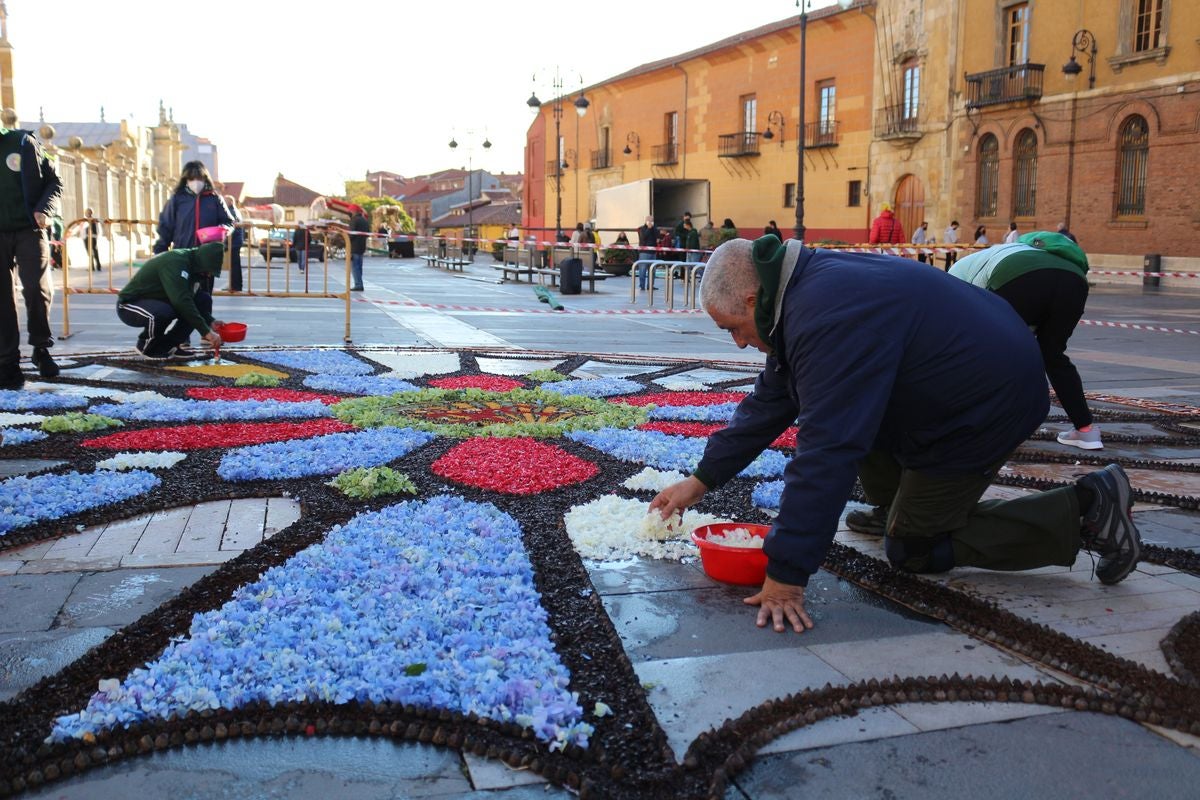 Fotos: Flores y color para San Froilán