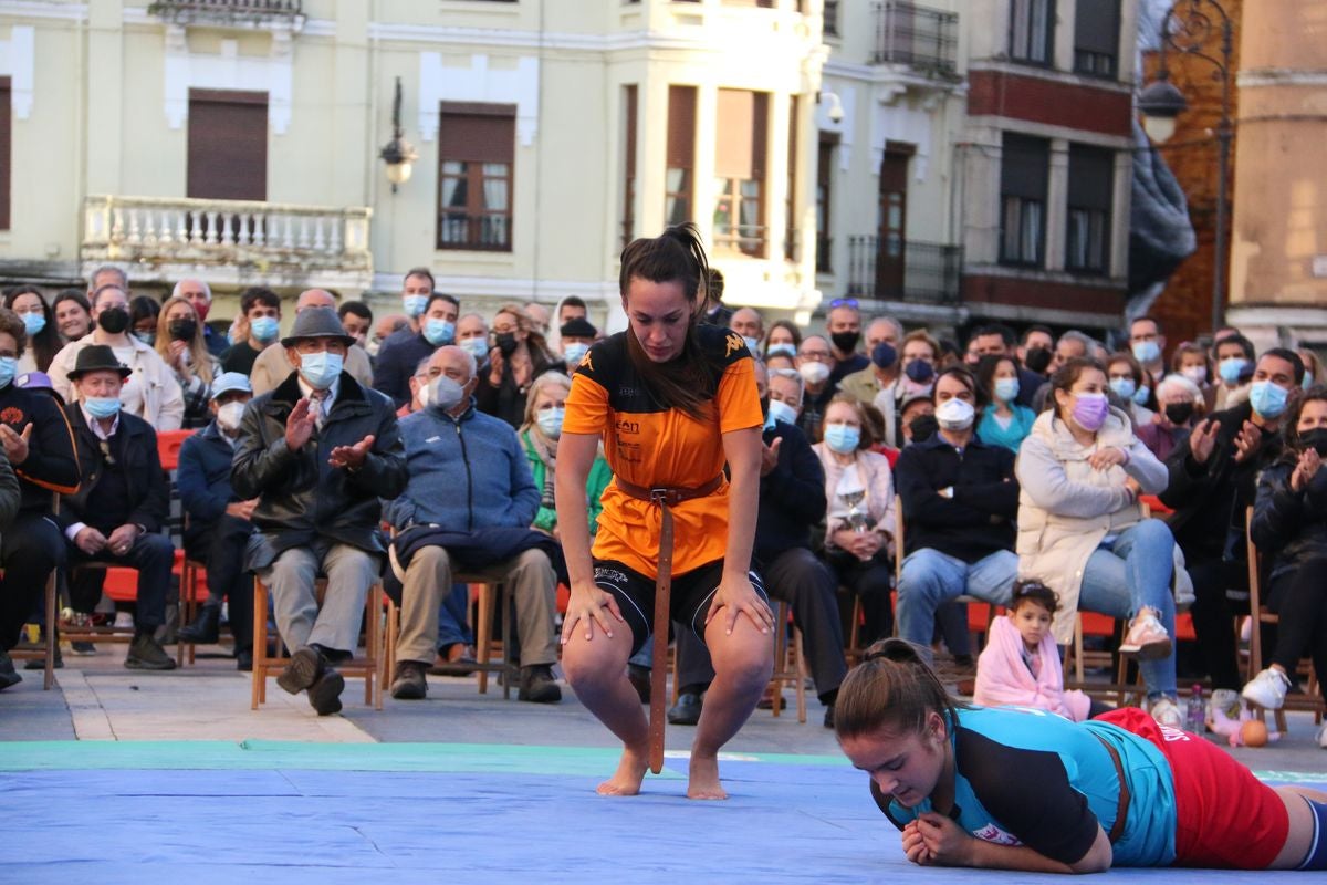 El tradicional corro de lucha de San Froilán vuelve a congregar a los aluches a los pies de la Pulchra Leonina.