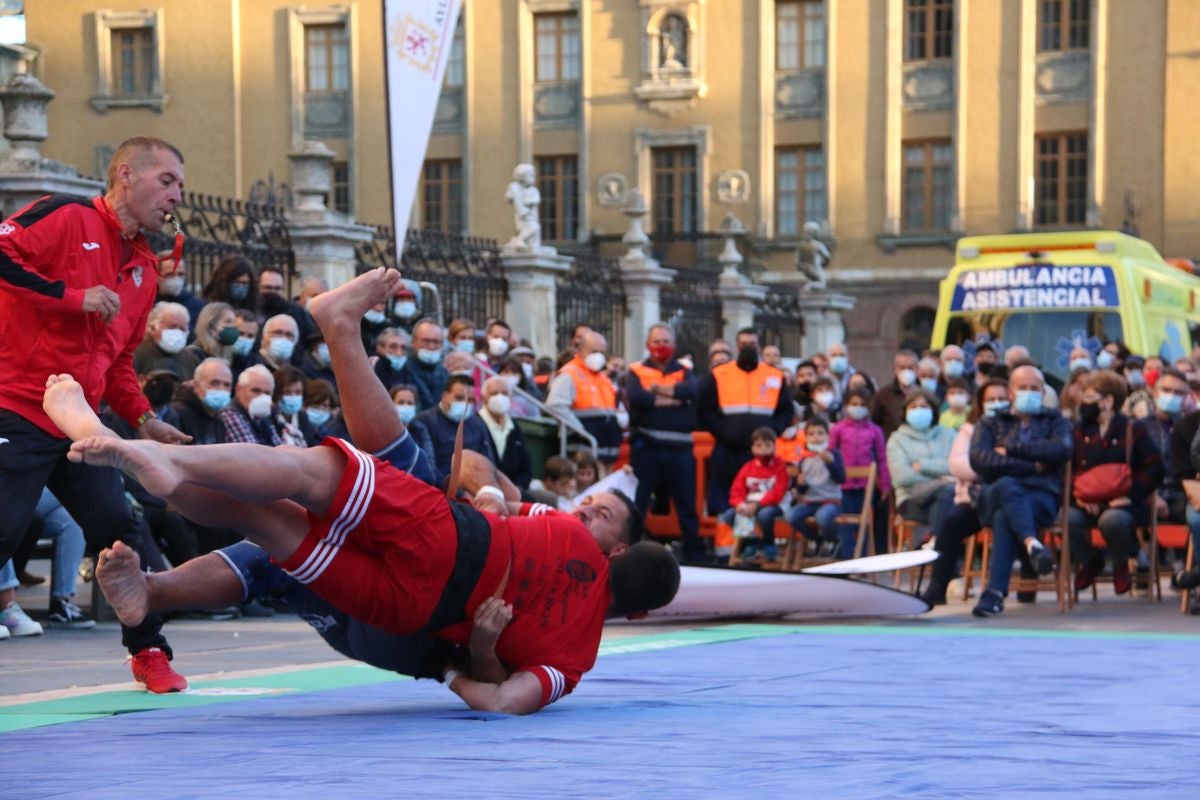 El tradicional corro de lucha de San Froilán vuelve a congregar a los aluches a los pies de la Pulchra Leonina.