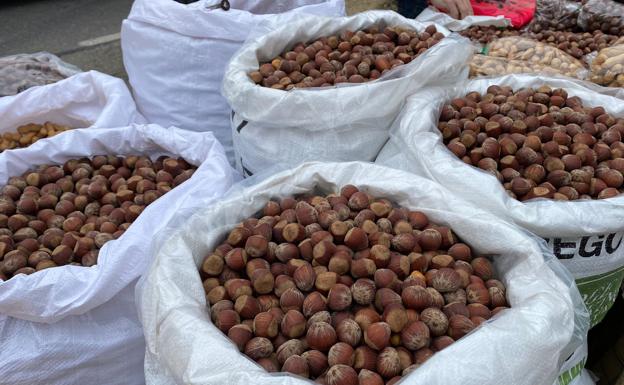 Galería. Las tradicionales avellanas se han convertido de nuevo en protagonistas durante la celebración de San Froilán en La Virgen del Camino. 