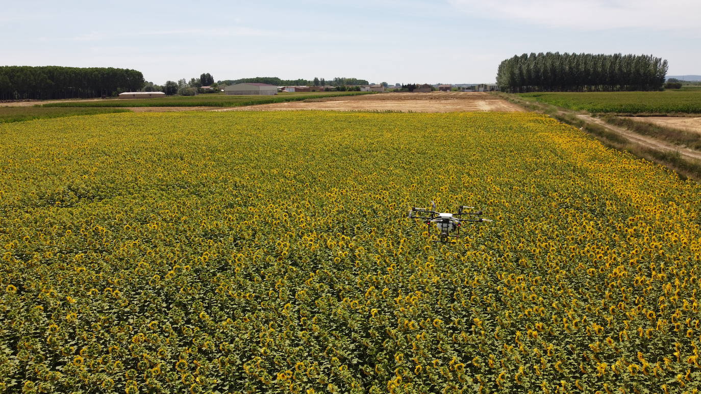 Baltor, drones contra la despoblación. 