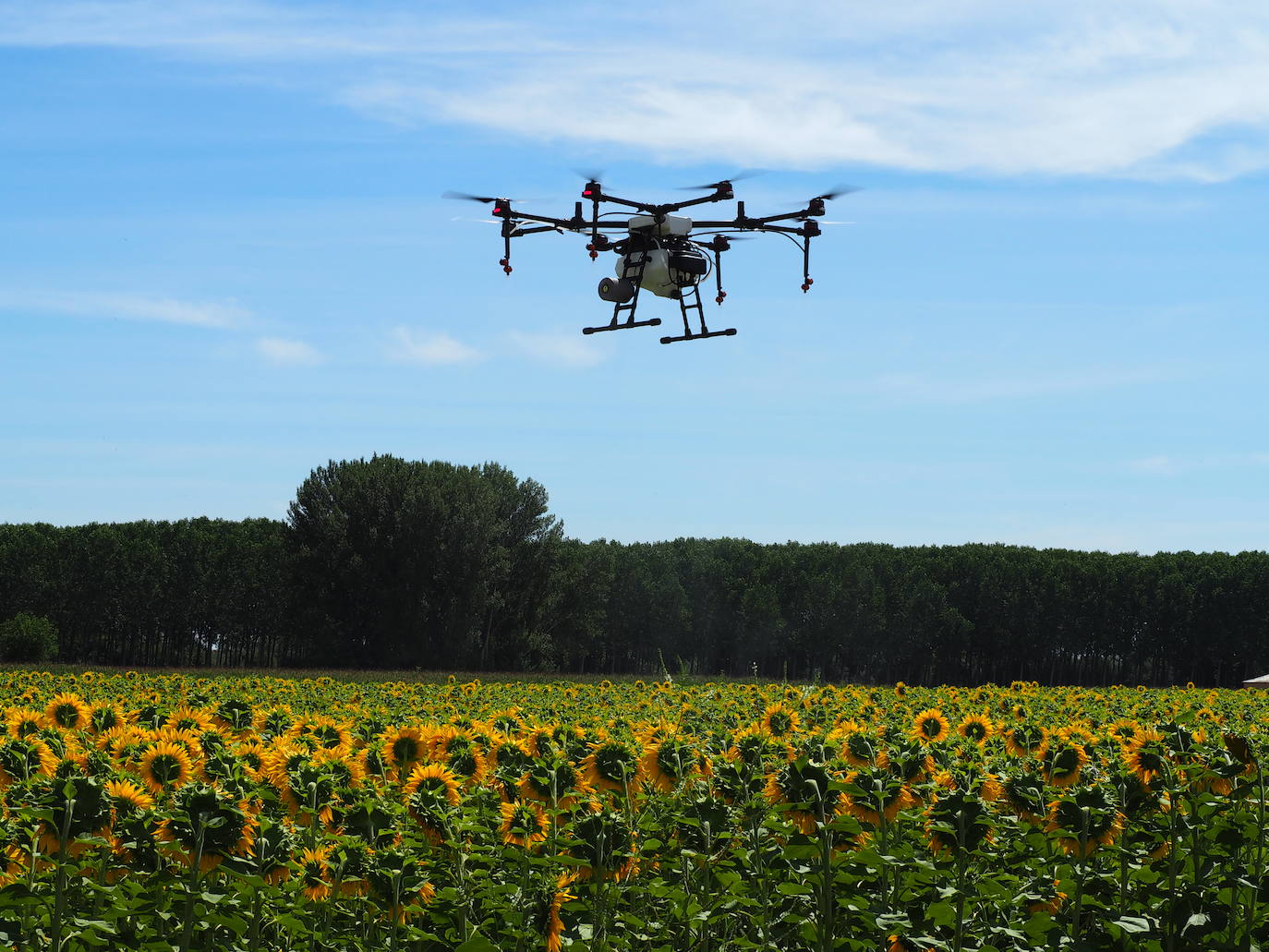 Baltor, drones contra la despoblación. 