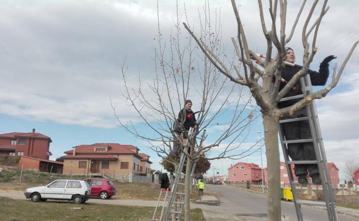 Los talleres de formación abarcan diferentes áreas. 