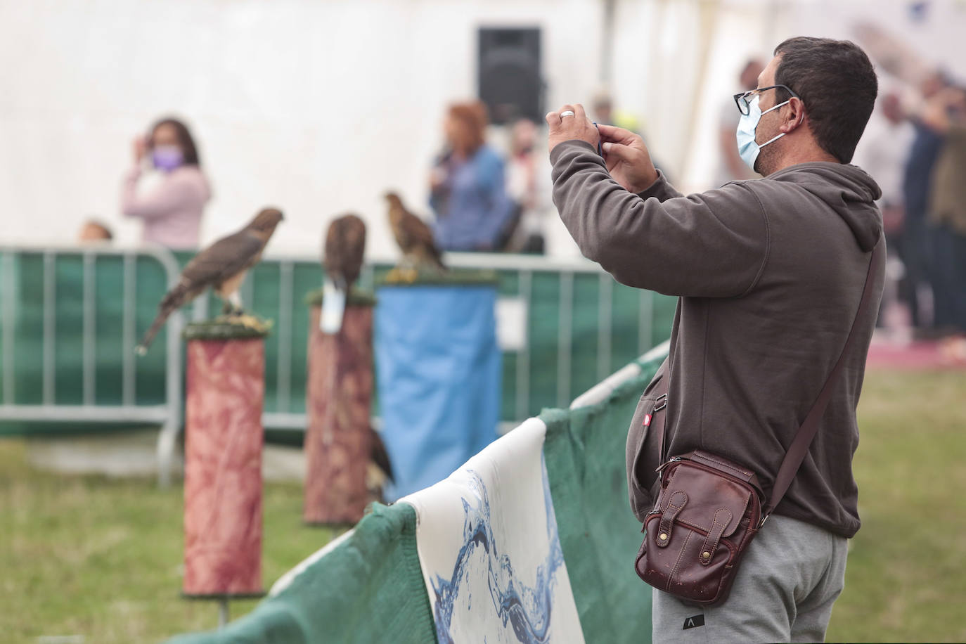 La Virgen del Camino acoge la celebración de las XXVI Jornadas Internacionales de Cetrería del Norte de España