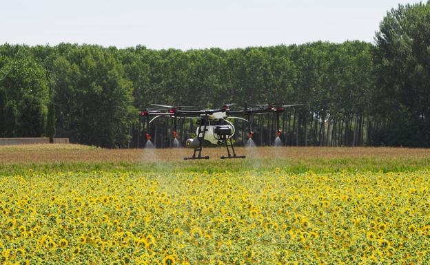 Galería. Baltor, drones contra las plagas y la despoblación. 