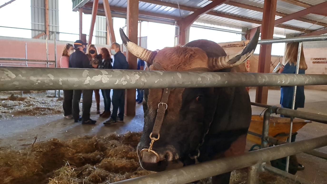 'Pulpadas', Feria de Ganado y más de 200 puestos llenan de color el Valle de Laciana.