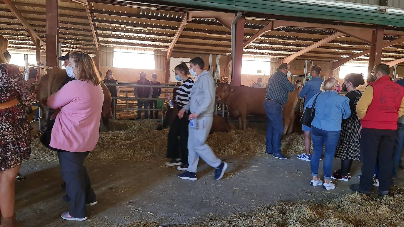 'Pulpadas', Feria de Ganado y más de 200 puestos llenan de color el Valle de Laciana.