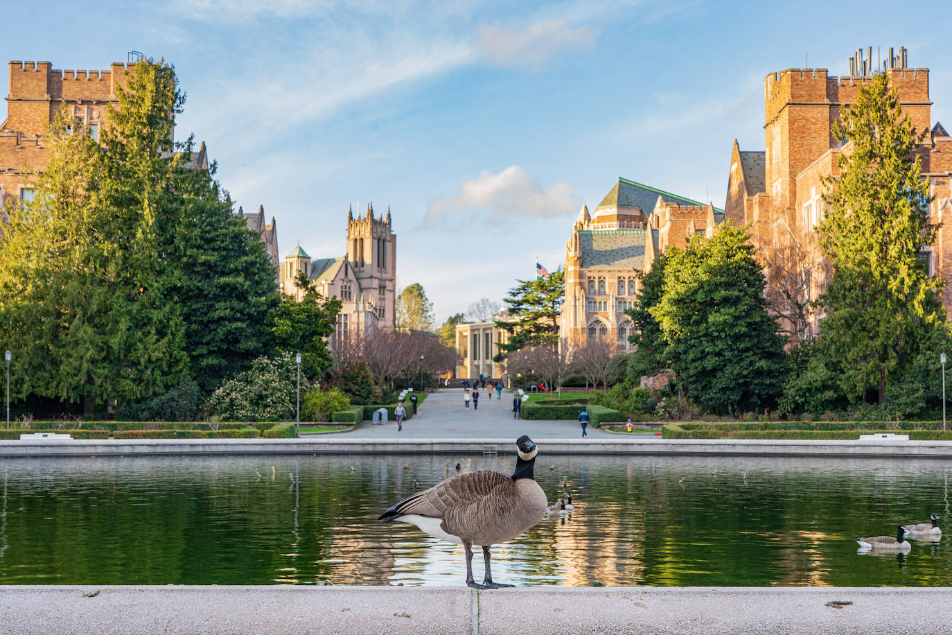 Universidad de Washington (EE UU). Es una de las universidades públicas más grandes de los Estados Unido. Tiene 140 departamentos.