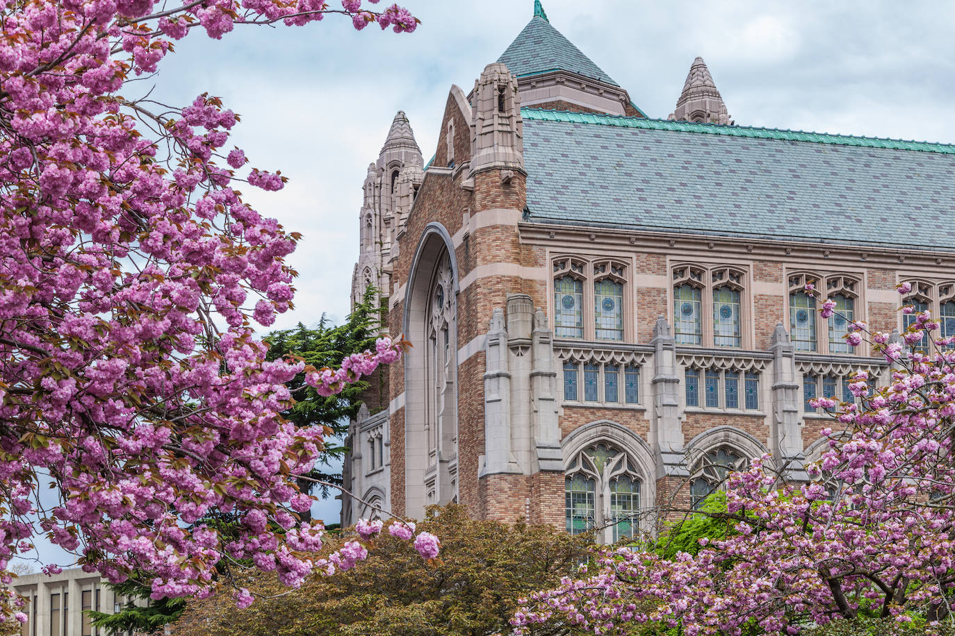 Universidad de Washington (EE UU). Es una de las universidades públicas más grandes de los Estados Unido. Tiene 140 departamentos.