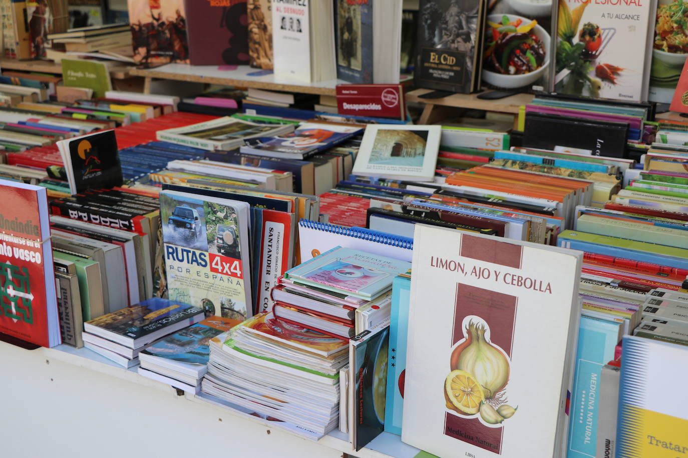 Fotos: Feria del Libro Antiguo y de Ocasión