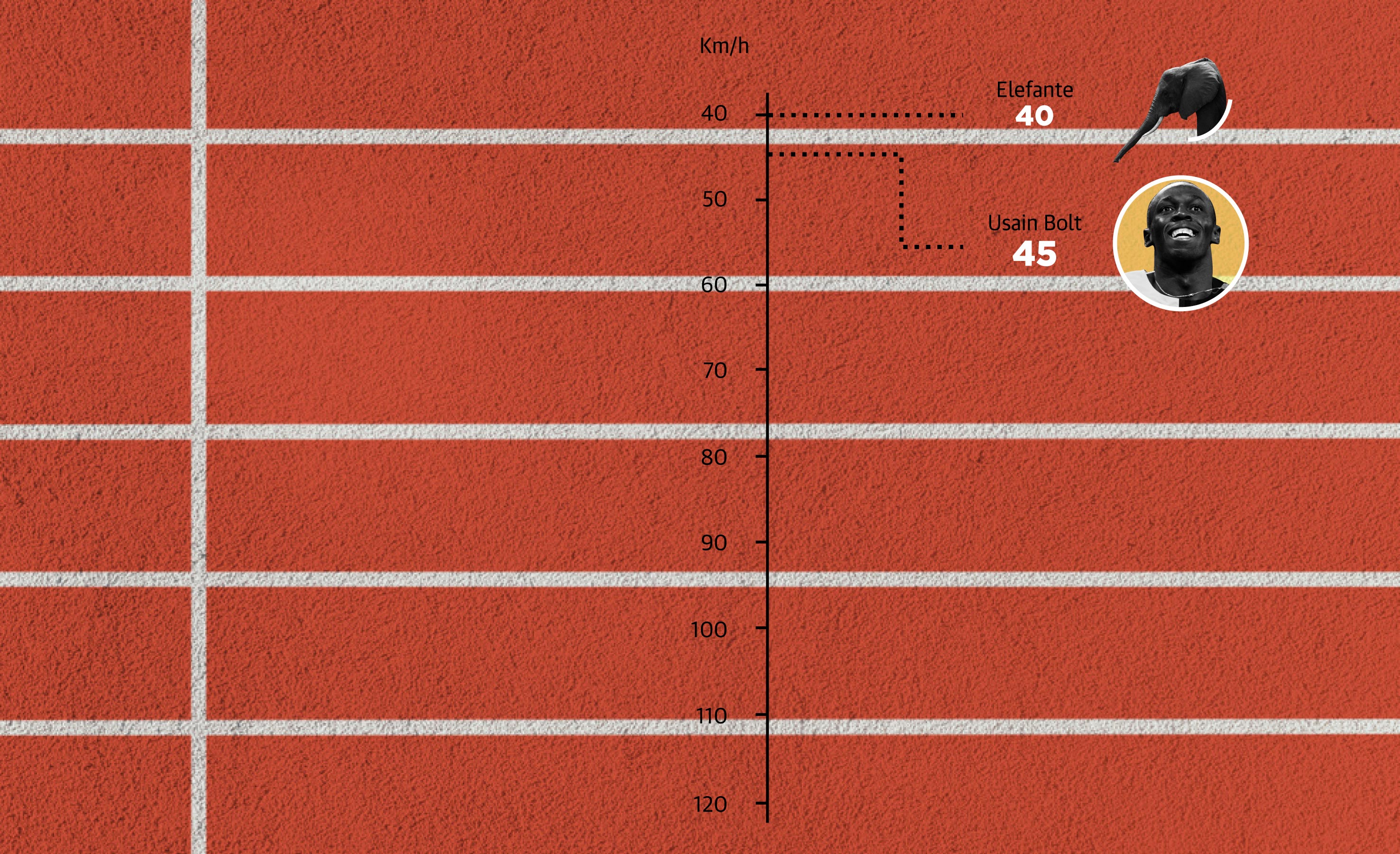 Scroll Story imagen 7