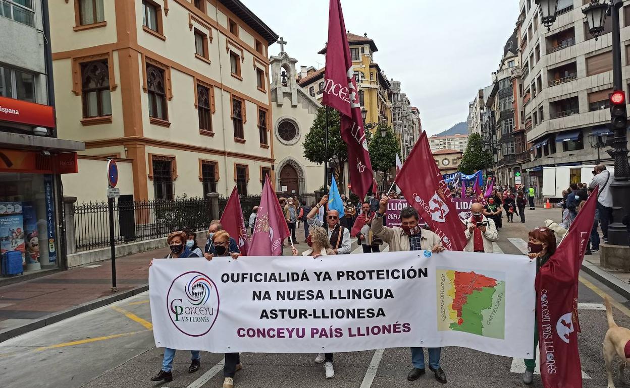 Delegación leonbesa en la manifestación por la oficialidad en Asturias. 