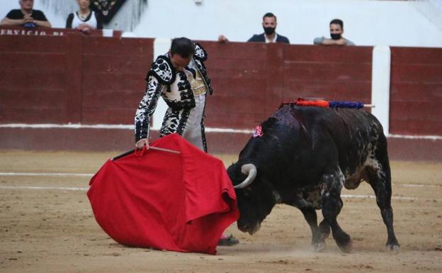 Las Cortes piden incluir la tauromaquia en el bono cultural. 