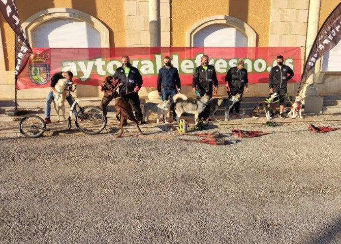 Imagen de varios competidore de la Transsobarriba Mushing con sus respectivos perros.