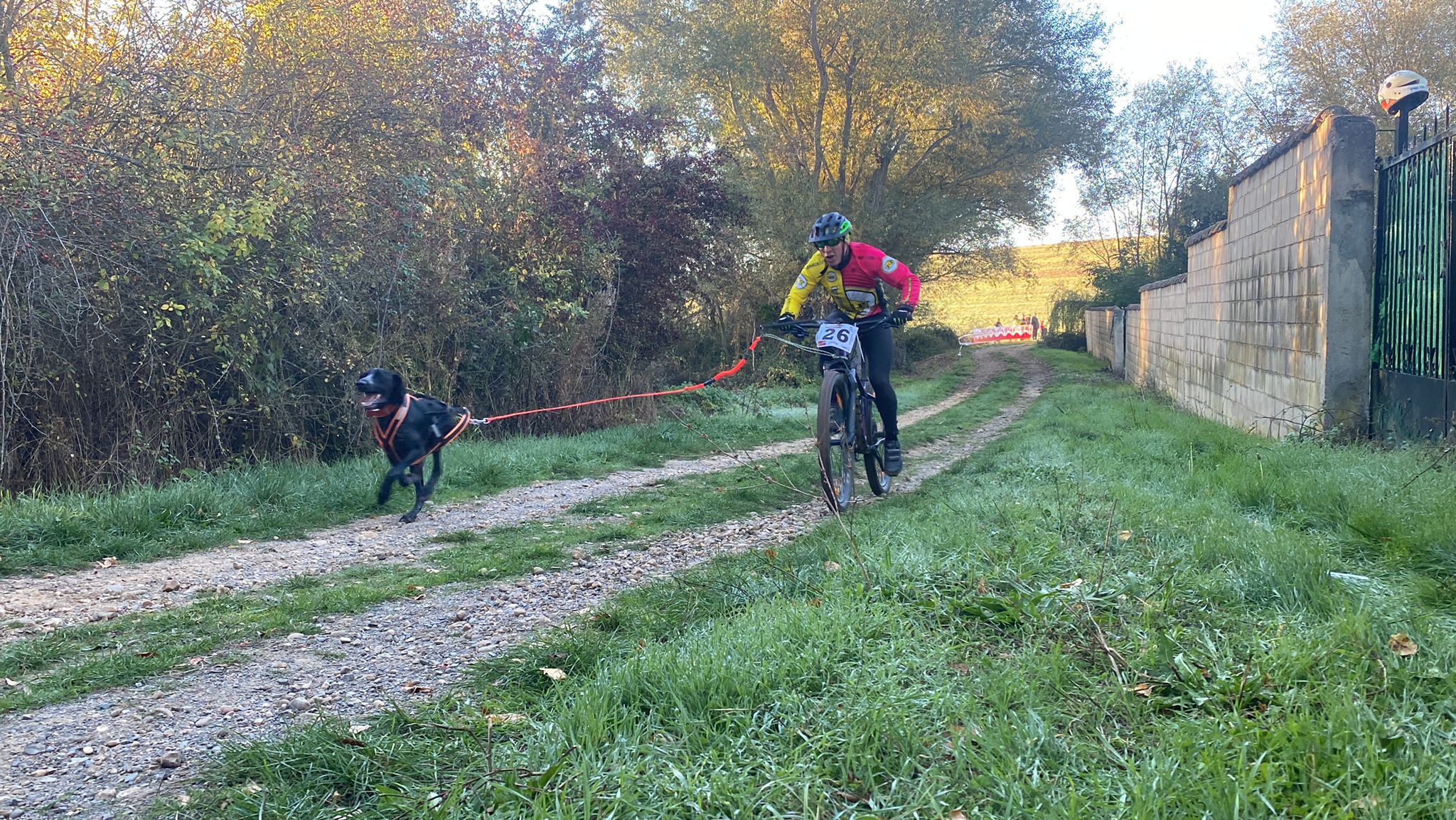 125 participantes de cuatro disciplinas han rodado con sus perros en la mañana de este domingo por las tierras de la Sobarriba.