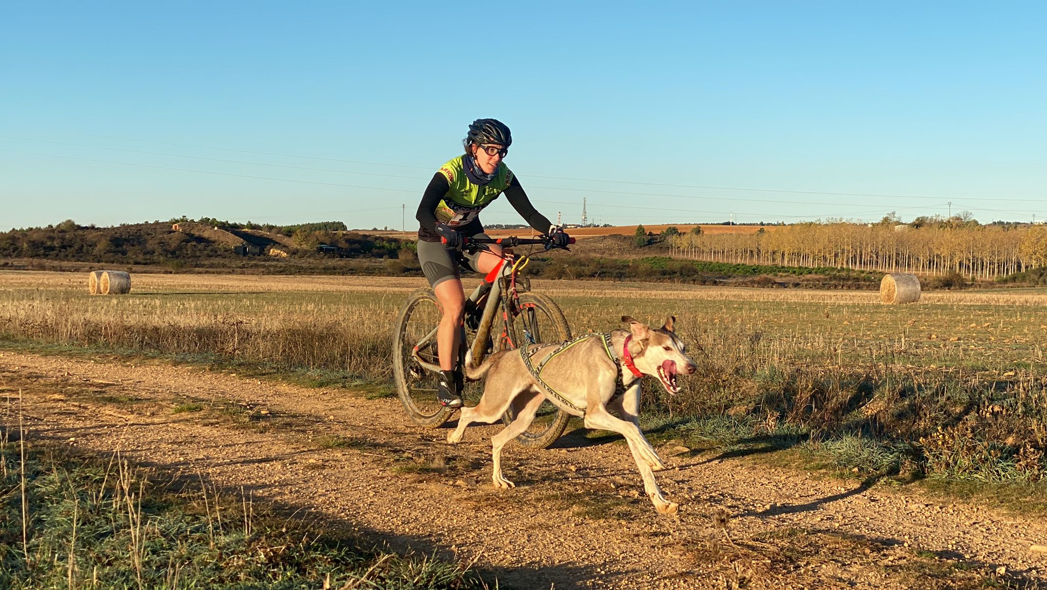 125 participantes de cuatro disciplinas han rodado con sus perros en la mañana de este domingo por las tierras de la Sobarriba.