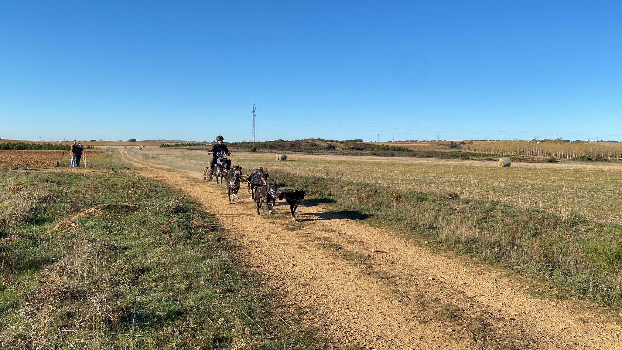 125 participantes de cuatro disciplinas han rodado con sus perros en la mañana de este domingo por las tierras de la Sobarriba.
