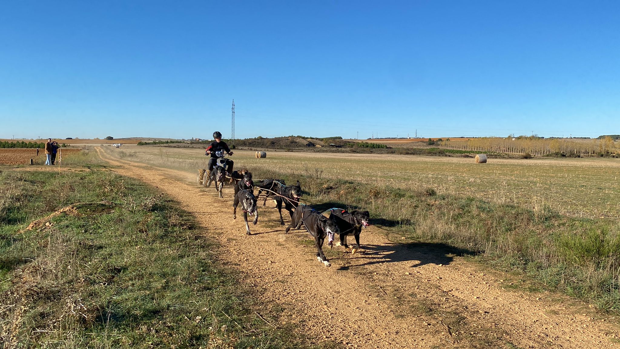 125 participantes de cuatro disciplinas han rodado con sus perros en la mañana de este domingo por las tierras de la Sobarriba.