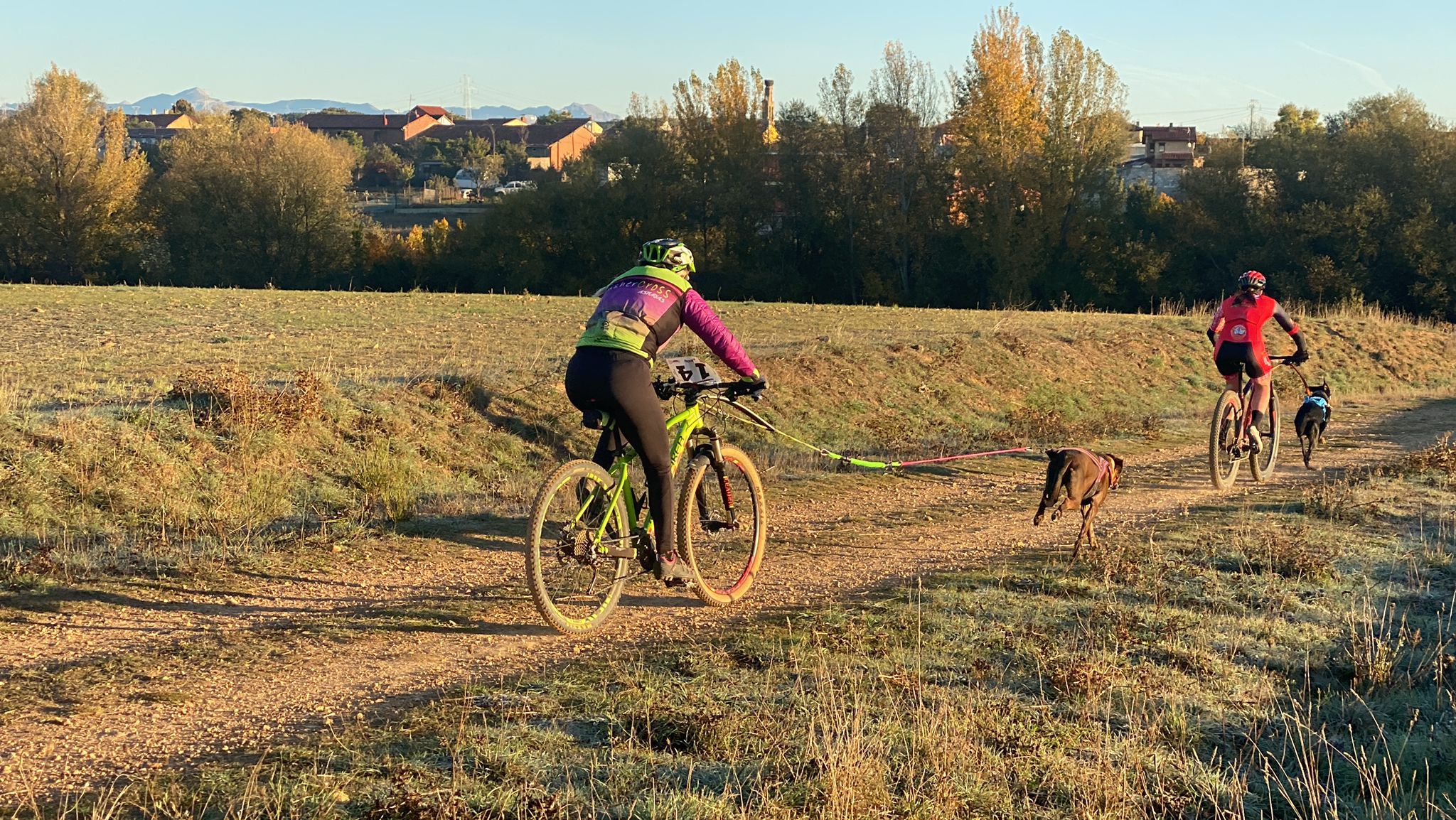 125 participantes de cuatro disciplinas han rodado con sus perros en la mañana de este domingo por las tierras de la Sobarriba.