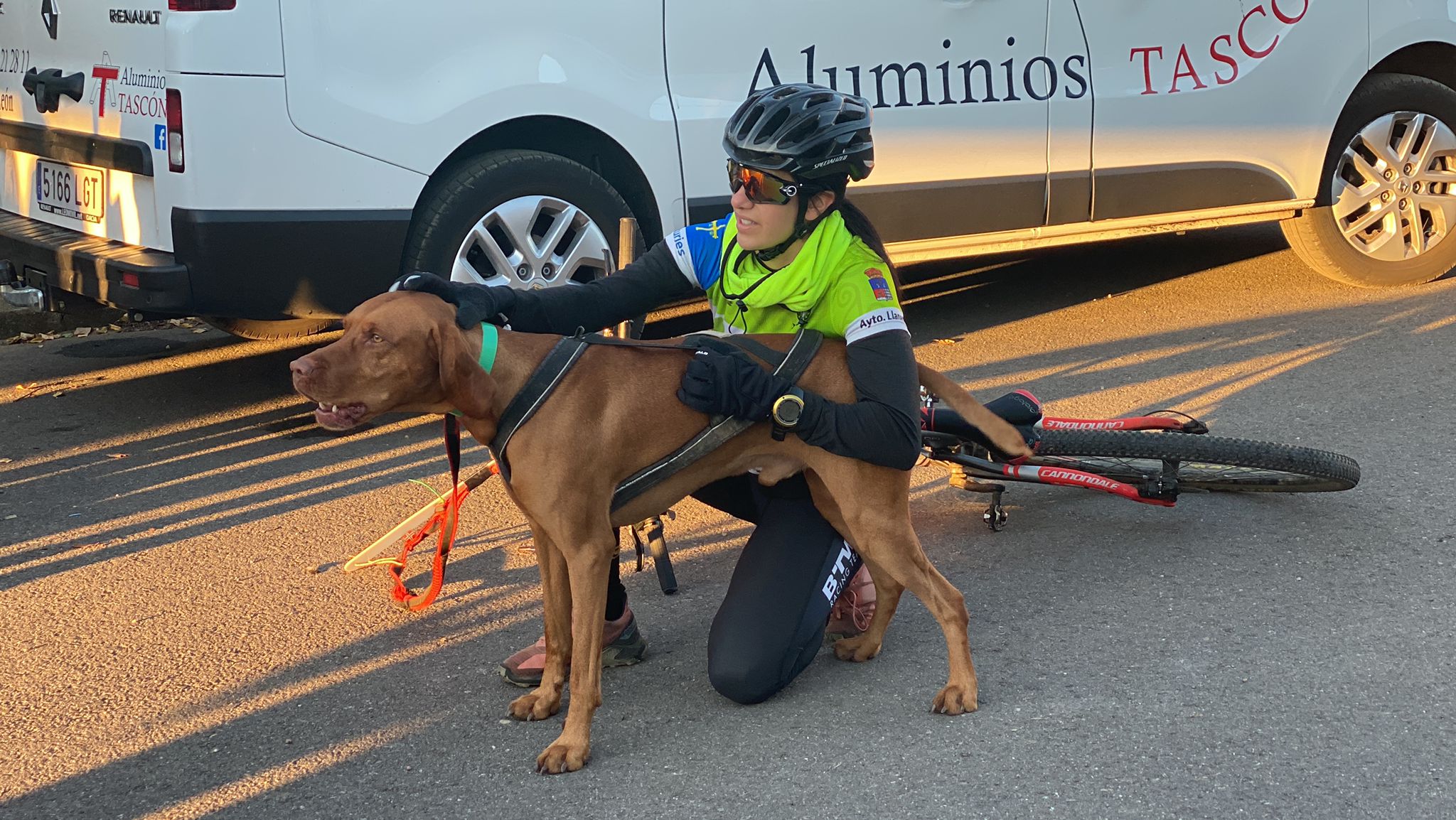 125 participantes de cuatro disciplinas han rodado con sus perros en la mañana de este domingo por las tierras de la Sobarriba.