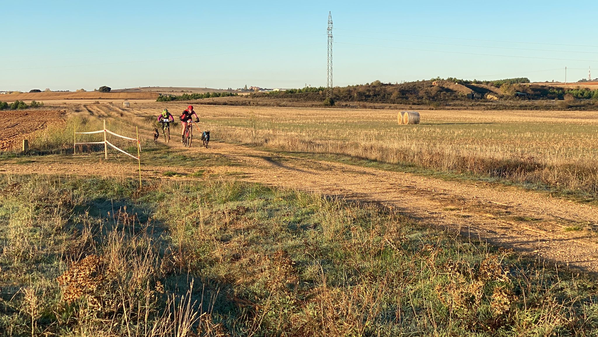 125 participantes de cuatro disciplinas han rodado con sus perros en la mañana de este domingo por las tierras de la Sobarriba.