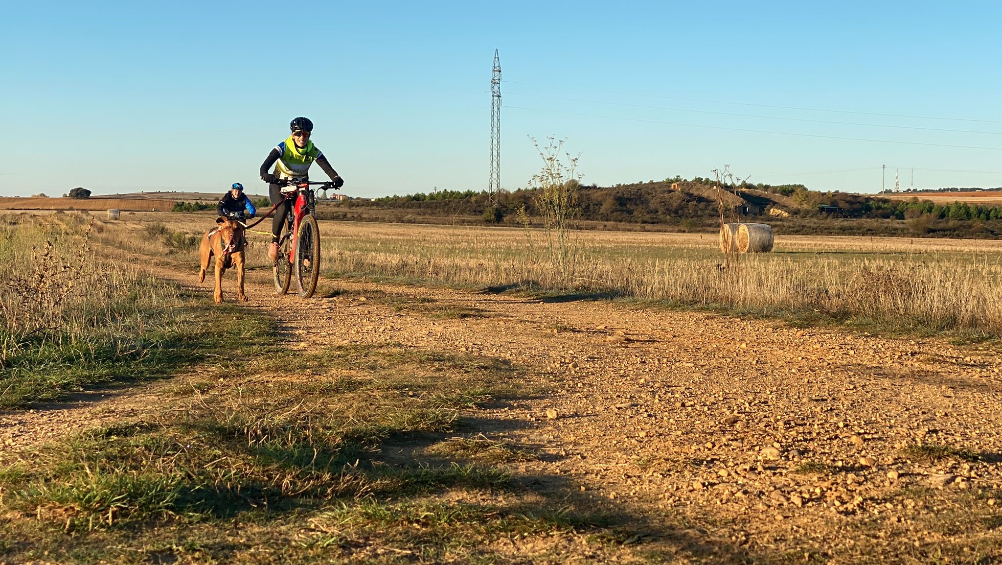125 participantes de cuatro disciplinas han rodado con sus perros en la mañana de este domingo por las tierras de la Sobarriba.
