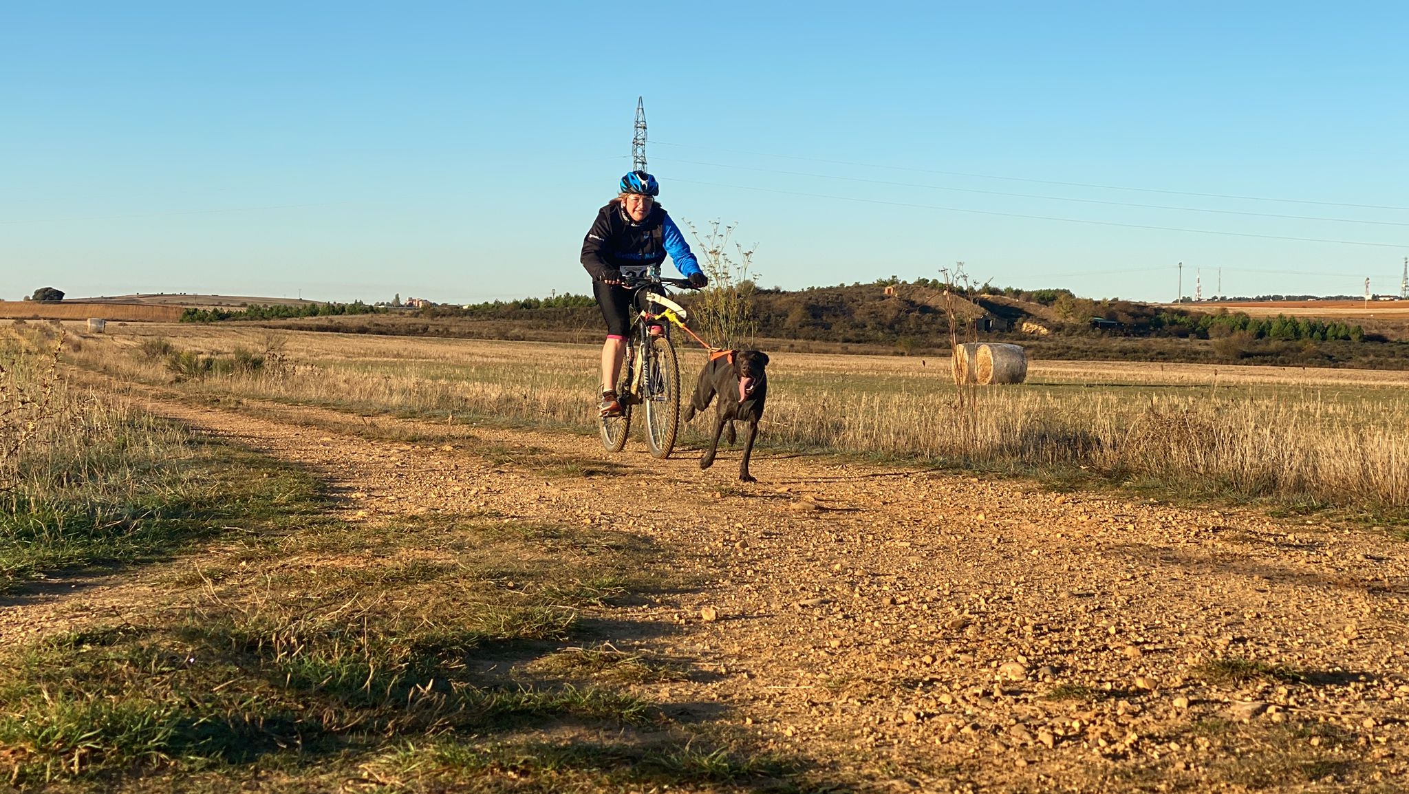 125 participantes de cuatro disciplinas han rodado con sus perros en la mañana de este domingo por las tierras de la Sobarriba.