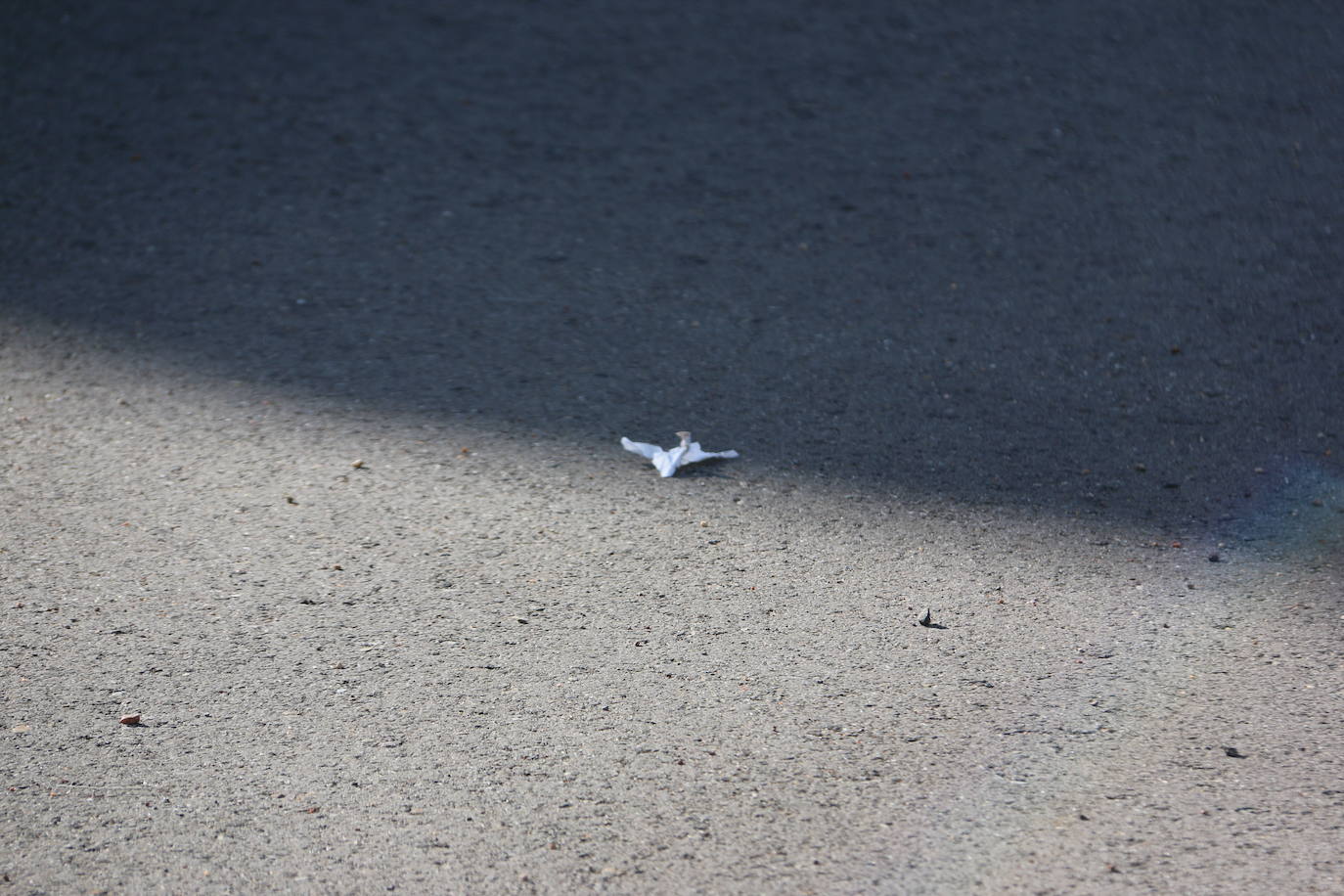 El aeródromo de La Virgen del Camino celebra el centenario de su puesta en marcha que se cumplía en pleno confinamiento en 2020 | Un avión en T-6 en una de las principales plazas del municipio, un monolito y una avenida en la sede de la Academia conmemoran los cien años de «servicio 24 horas al día, siete días a la semana» vigilando y controlando el espacio aéreo .