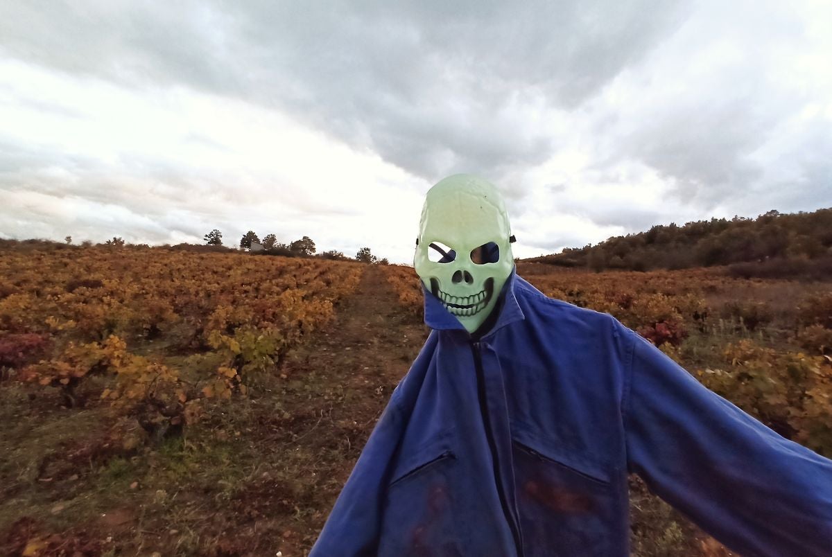 Ambientación de Halloween en viñedos del Bierzo.