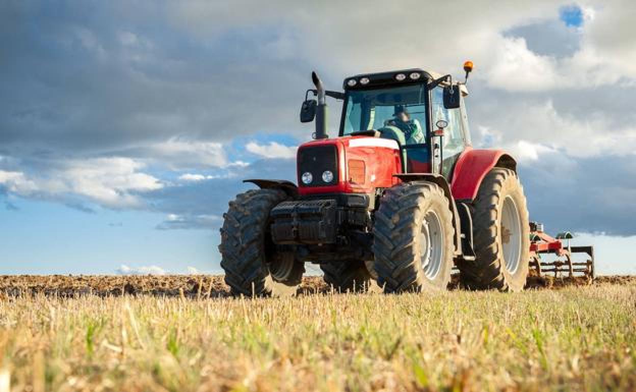 Un agricultor prepara la tierra. 